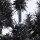 thumbnail image 3 of Christmas Clear Pre-Lit 300 Incandescent Black Pre-Lit Spruce Collapsible Artificial Christmas Tree, 6ft Christmas Decoration, 3 of 4