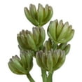 thumbnail image 3 of Mainstays Green Rose Artificial Succulent Pick, 2.75" x 6.75", 3 of 5