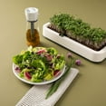 thumbnail image 7 of Chef'n Glass Emulstir Salad Dressing Mixer 104 758 395, 7 of 7