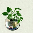 thumbnail image 4 of Décoration pour la Maison, Montage Mural, Aquariums, Bol pour Poissons Rouges, Acrylique Suspendu, Pot de Fleurs, Vase à Fleurs, 4 of 7