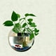 thumbnail image 4 of Tanque de acuario,Decoración del hogar Montaje en pared Tanques de peces Goldfish Bowl Acrílico Colg Abody 230 mm y tipo 1, 4 of 7