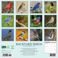 thumbnail image 2 of Backyard Birds 2026 Wall Calendar, (Paperback), 2 of 5