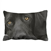 WinHome Decorative Black lab Labrador Retriever Zippered Pillow Cases Cover Size 20x30 inches Two Side