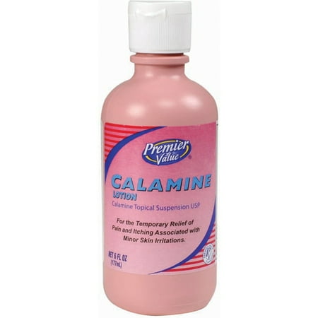 Premier Value Calamine Lotion - 6oz
