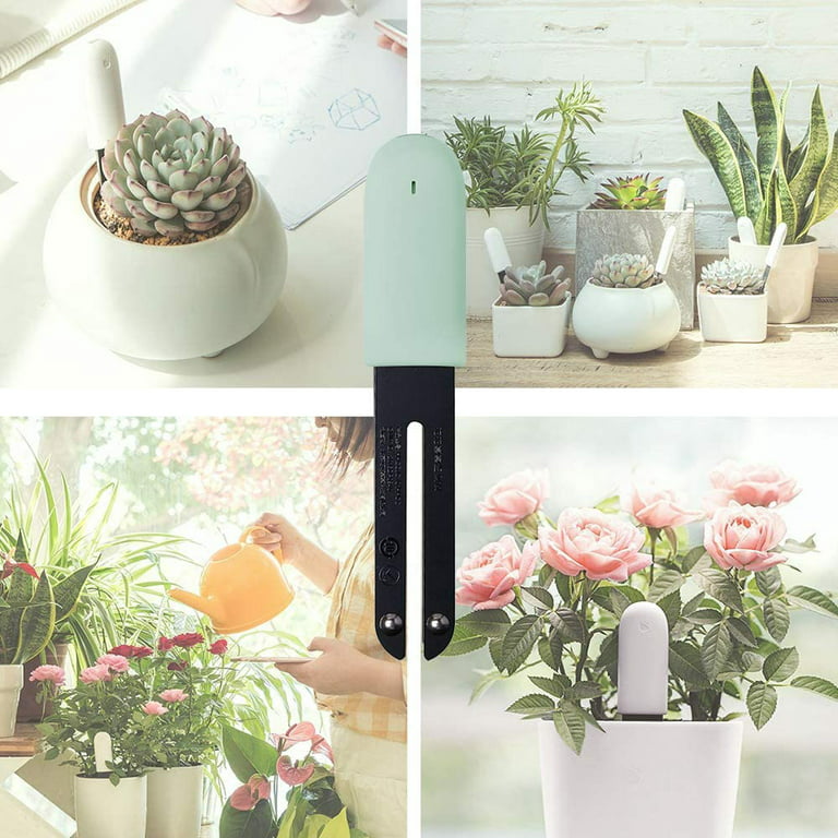 How To Use Your New Moisture Meter — Plant Care Tips and More · La