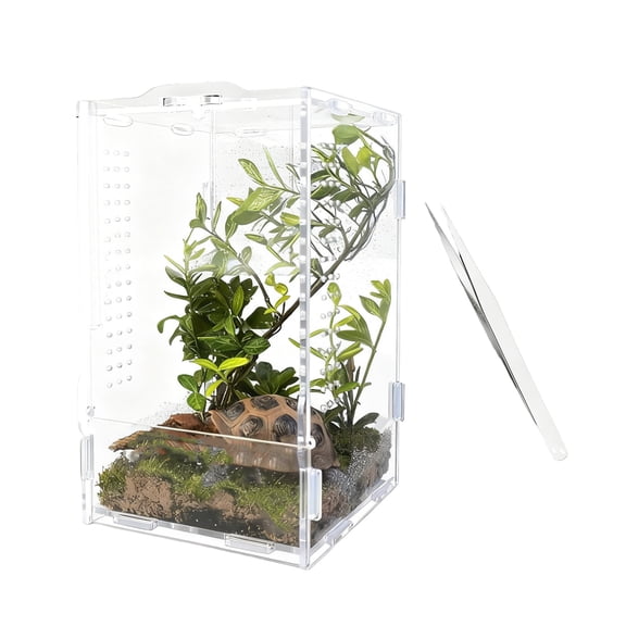 Transparents Reptiles Pet Breeding Box Pet Feeding Box for Lizards Silkworms Scorpions Small Reptiles Cage