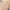 004 Beige, variant on Mnyycxen Women Solid Color Trim Lace Half Skirts Pleated A-line Layering Underskirt Causel Loose Knee Length Midi Skirt