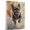 Affenpinscher, variant on Irish Wolfhound Dog Playing Running Wall Stretched Canvas Size 8x12 – Irish Wolfhound Canvas Art for Dog Lovers, Running Canvas Wall Decor