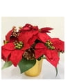 thumbnail image 4 of Potted Red Christmas Plant Artificial Poinsettia in Pot with Pinecones Tabletop Centerpiece Home Office Decor, 4 of 9