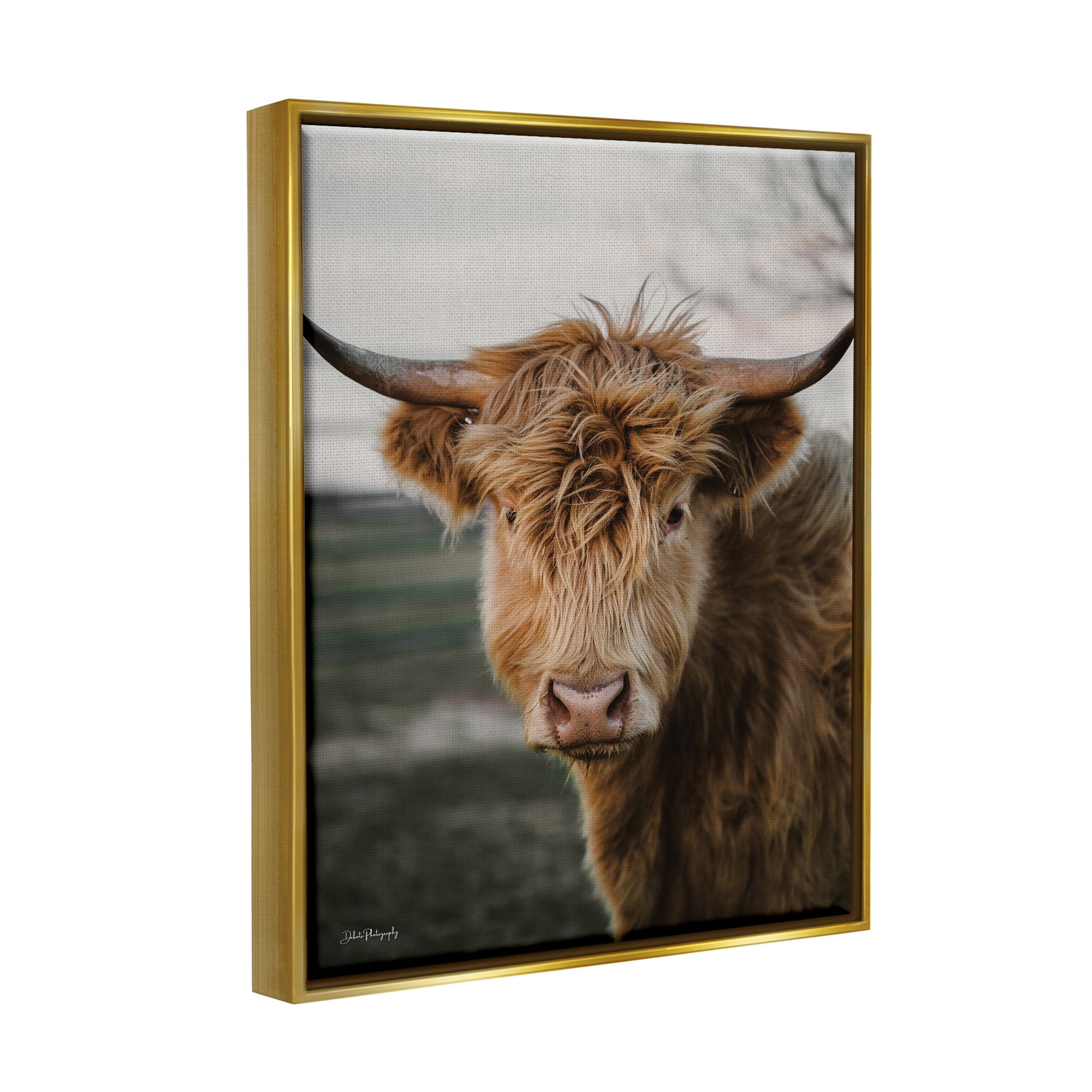 Stupell Industries Highland Cow Photography Animals & Insects Photography Gold Floater Framed Art Print Wall Art, 25 x 31