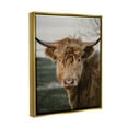 thumbnail image 4 of Stupell Industries Highland Cow Photography Animals & Insects Photography Gold Floater Framed Art Print Wall Art, 17 x 21, 4 of 10