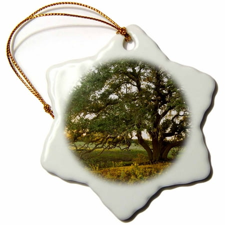 3dRose Live oak tree at sunset, central Texas, USA - US44 LDI0969 - Larry Ditto - Snowflake Ornament,