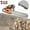 20Inch 58cc 2KW, variant on YNCE 58CC Gas Chainsaw, Professional Chainsaw with 2-Stroke Engine, 20inch Chain Saw Bar, Ergonomic Non-Slip Handle & 550ml Fuel Tanks for Tree Wood Cutting