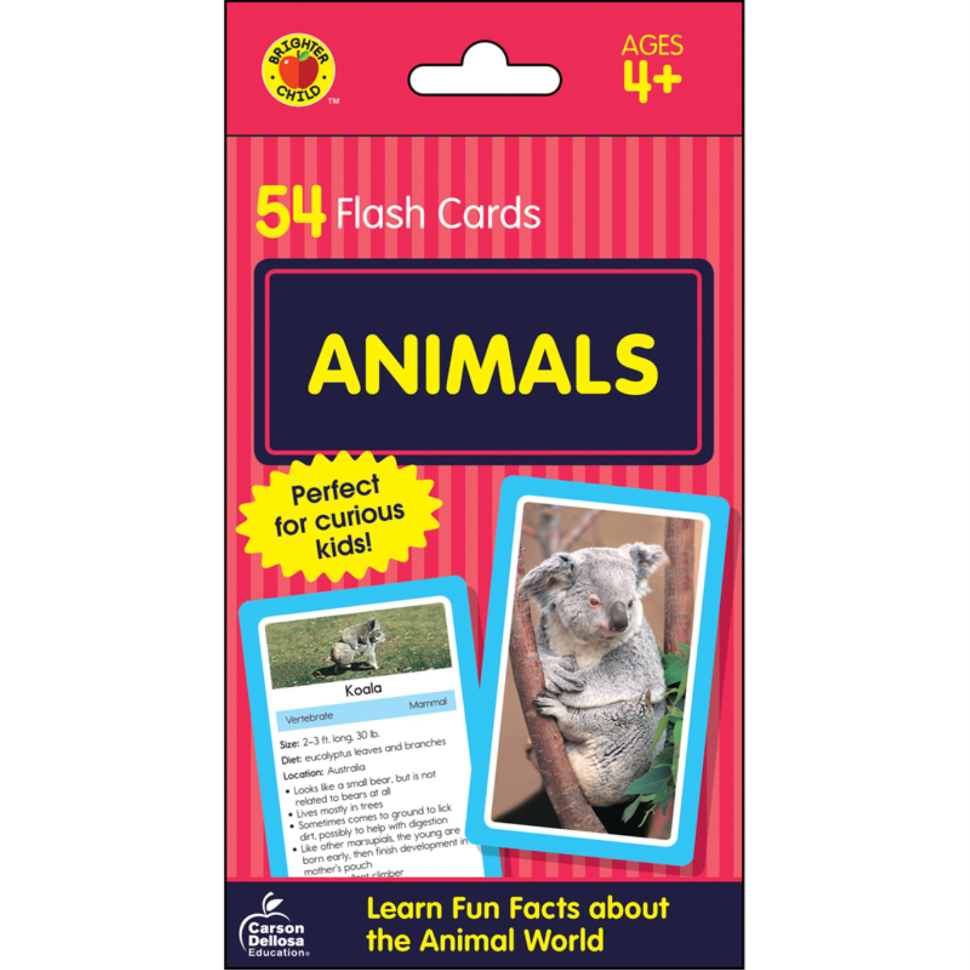 Animals Flash Cards 
