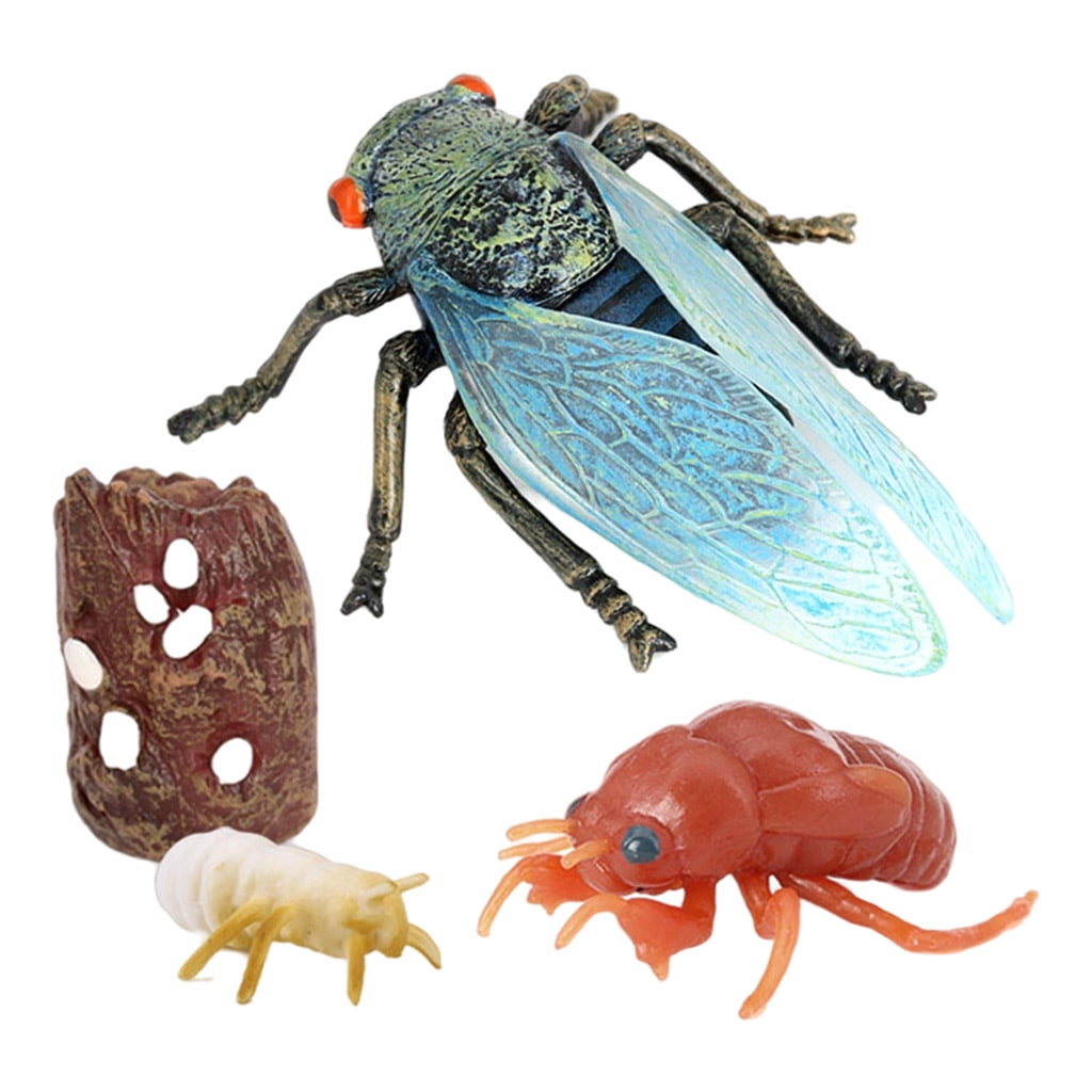 3 Pieces Simulated Insect Model Realistic Plastic Cicada Figures Collection Toy 