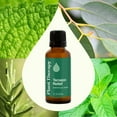 thumbnail image 3 of Plant Therapy Tension Relief Essential Oil Blend 30 mL (1 oz) 100% Pure, Undiluted, Natural Atomatherapy, 3 of 8