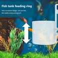 thumbnail image 4 of MasteelfCA 1 Pce Outil d'Alimentation pour Poissons Mangeoire Transparente, 4 of 7