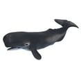 thumbnail image 4 of Figura De Animal Marino, Aprendizaje De Simulación De Modelo De Animal Marino Realista Para Niños, 4 of 7