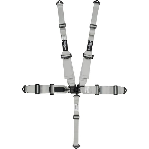 Speedway Elite, 5 Point Seat Belt Harness, Latch, Hans, Silver