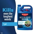 thumbnail image 2 of BioAdvanced Weed & Grass Killer, Non-Selective Herbicide, 1 Gallon, Ready to Use, 2 of 7