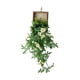 thumbnail image 3 of Flores colgantes artificiales, plantas colgantes, decoraciones de pared , plantas colgantes falsas para el hogar, 3 of 9