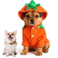 thumbnail image 6 of Dog Pet Halloween Pumpkin Costume Funny Hoodies Pet Festival Costume Clothes Dogs Halloween Cosplay Sweater Halloween Pumpkin Dog Clothes(XL,Saffron), 6 of 6