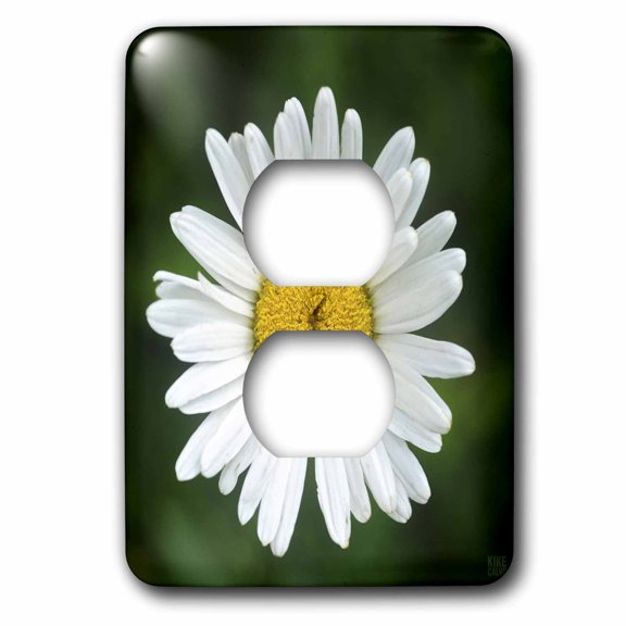 3dRose Daisy - 2 Plug Outlet Cover (lsp_10433_6)