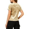 thumbnail image 3 of INSPIRE CHIC Women's Party Velvet Shirt Crew Neck Short Sleeve Casual T-Shirt M Light Beige, 3 of 8
