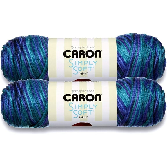 (Pack of 2) Caron Simply Soft Paints Yarn-Oceana