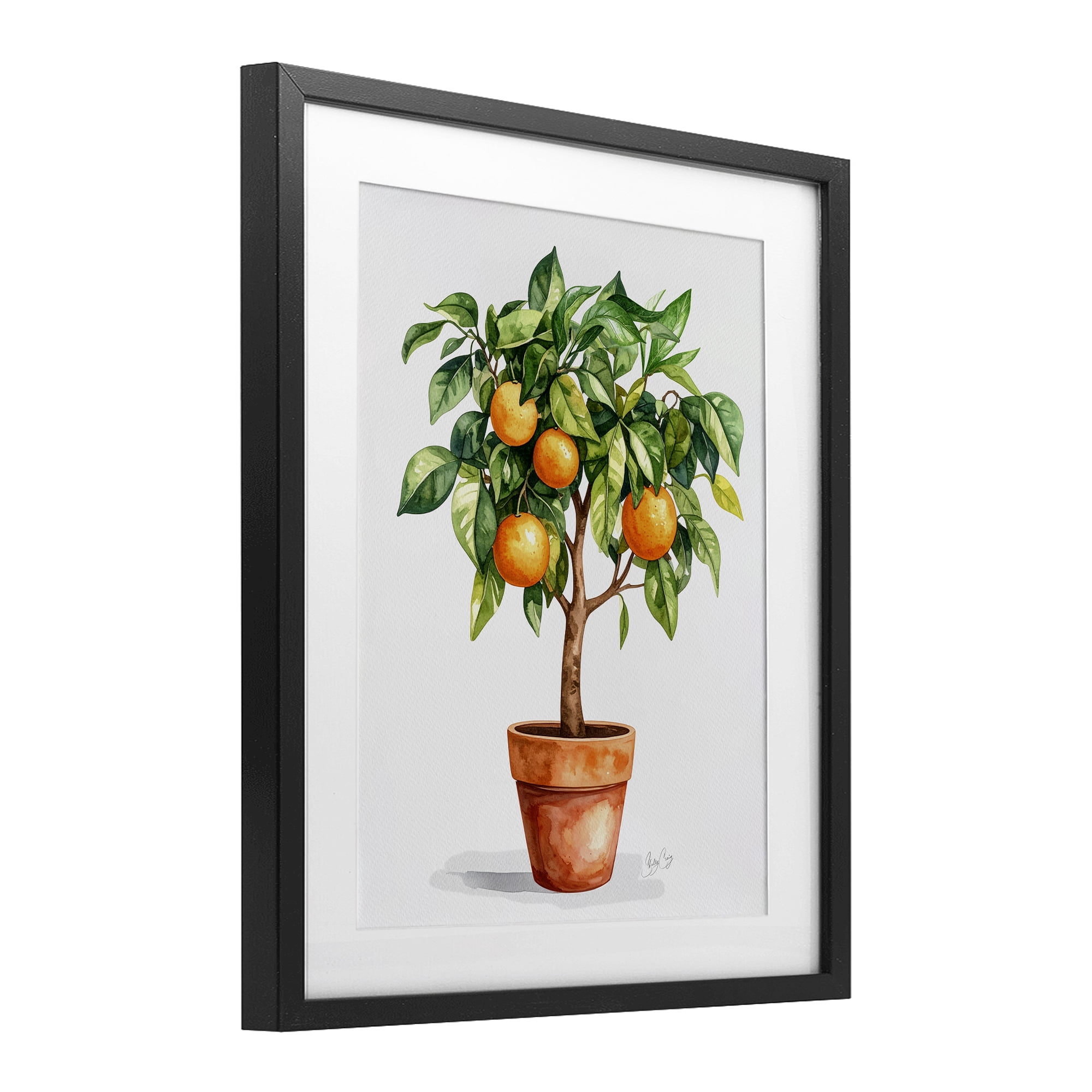 Stupell Industries Potted Orange Tree Black Framed Print Under Glass, design by Shelly Craig
