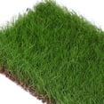 thumbnail image 3 of COOPHYA Miniature Landscape Decoration Mini Plant Tuft Nylon Versatile Decoration Indoor Decoration 1Set, 3 of 6