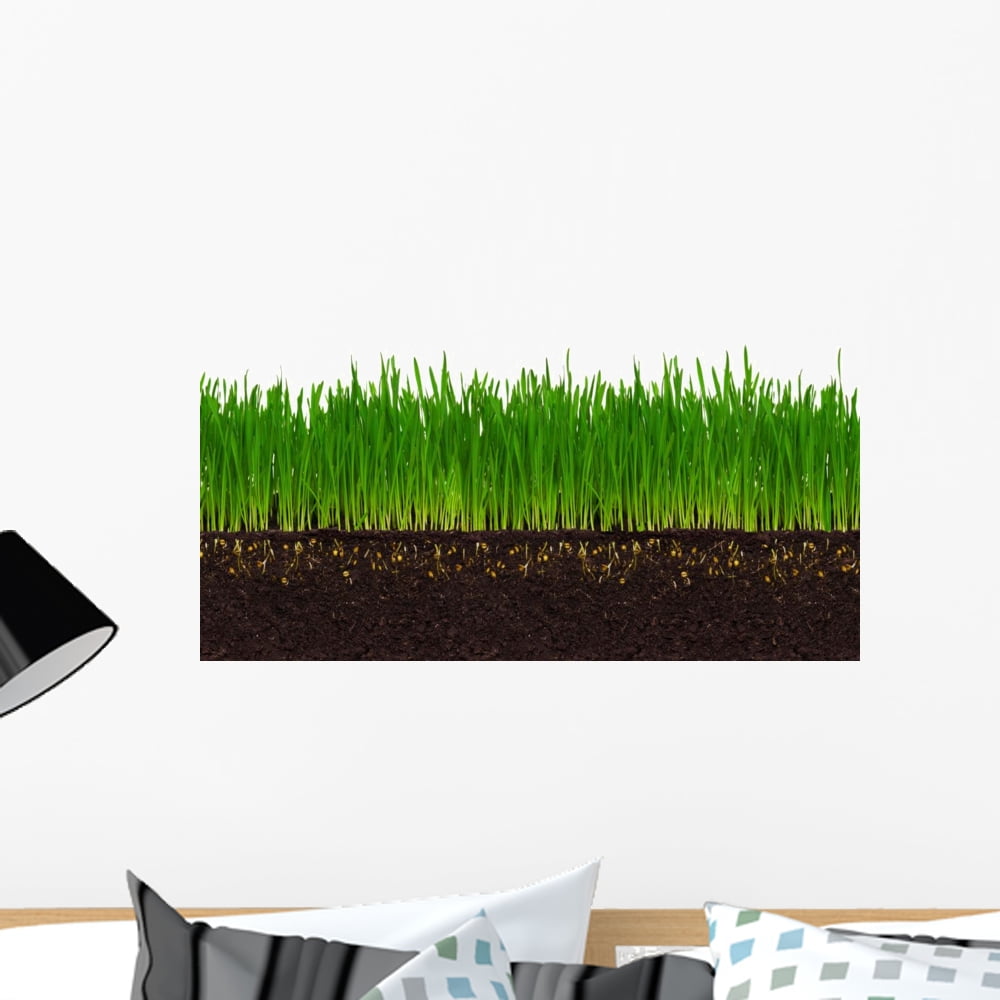Wheat Grass Wall Decal By Wallmonkeys L And Stick Graphic 18 In W X 10 H Wm10011