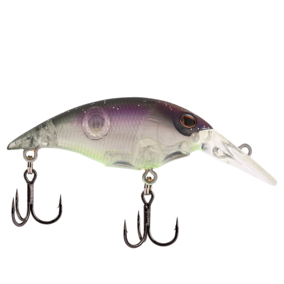 Berkley Money Badger, 4, Northern Lights