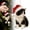 Black,2"x3", variant on Aoyunhp Black Cat Ornaments for Christmas Tree,Christmas Ornaments,Funny Cat Ornaments for Christmas Tree,Christmas Decor,Acrylic Santa Hat Cats Meme Hanging Decor,Christmas Tree Ornaments 2"X3"