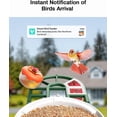 thumbnail image 4 of Comedero para pájaros HARYMOR con cámara, funciona con energía solar, capacidad de 2 K y 2 litros, 4 of 7