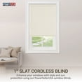 thumbnail image 3 of PowerSellerUSA Cordless Window Blinds, Privacy & Light Filtering 1" Slats Vinyl Mini Blind, Anti-UV Window Treatment, Fits Windows 18" - 72", Alabaster, 72" (Width) x 64" (Length), 3 of 9