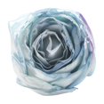 thumbnail image 5 of WZXPWT Artificial Silk Roses Wedding Bouquet, Fake Flowers for Valentines, Bridal Hair Decoration, Home Decoration Floral Arrangement, 5 of 6