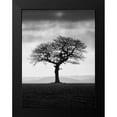 thumbnail image 2 of Henson, Martin 19x24 Black Modern Framed Museum Art Print Titled - Without Leaves, 2 of 5