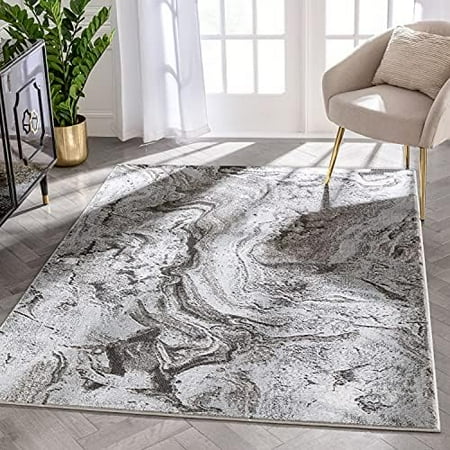 Raphet Grey Abstract Swirl Pattern Area Rug (5'3" X 7'3")