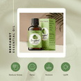 thumbnail image 2 of Organic Bergamot Essential Oil - 100% Pure & Natural -Premium Therapeutic Grade with Premium Glass Dropper - Undiluted Natural/Homeopathic Aromatherapy Scented, Great for DIY Soap Making, Massage, 2 of 7