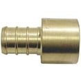 thumbnail image 6 of Apollo Brass PEX-A Female Adapter FSWT - Durable, Smooth Finish - 1 In. x 1 In., 6 of 6