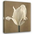thumbnail image 1 of Amy Melious 36x44 Gallery Wrapped Canvas Wall Art Titled - Lumiere Tulip II, 1 of 4