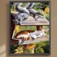 thumbnail image 3 of Pintura de diamante 5D DIY, kit de gato con cuentas cuadradas completas, decoración del hogar, 30x40cm, 3 of 9