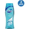 Dial All Day Freshness Spring Water Body Wash, 18 fl oz (Pack of 2)