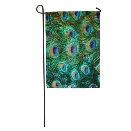 Decorative Feather Flags KDAGR Blue Pattern Peacock Colorful Feather Shallow Dof Green Bird Closeup Garden Flag Decorative Flag House Banner 12x18 inch ()