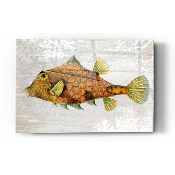 Epic Art 'Gold Turret Fish' by Fab Funky Acrylic Glass Wall Art, 16"x24"