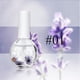 thumbnail image 2 of Fiudx Aceite de Flores Secas, Hidratante Nutritivo para El Borde de Las Uñas, Aceite Suavizante de Espinas para Uñas Más Sanas, Previene Las Uñas Encarnadas, Cuidado Diario de Las Uñas, Perfecto para, 2 of 4