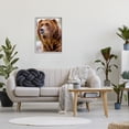 thumbnail image 2 of Stupell Industries Brown Bear Portrait Animals & Insects Photography Gray Framed Art Print Wall Art, 24 x 30, 2 of 8