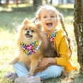 thumbnail image 5 of Thanksgiving Pack of Two Translucent Light and Breathable Chiffon Yarn Pet Collars - 40.6x40.6x58/16x16x22.8in, 53.3x53.3x76.2/20.9x20.9x30 in, 5 of 5