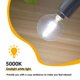 thumbnail image 2 of Lámpara LED EQ Lighting Daylight E12, 2 W 5000 K, paquete de 6, 2 of 7